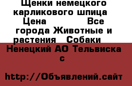 Щенки немецкого карликового шпица › Цена ­ 20 000 - Все города Животные и растения » Собаки   . Ненецкий АО,Тельвиска с.